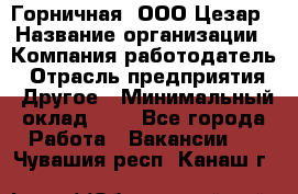 Горничная. ООО Цезар › Название организации ­ Компания-работодатель › Отрасль предприятия ­ Другое › Минимальный оклад ­ 1 - Все города Работа » Вакансии   . Чувашия респ.,Канаш г.